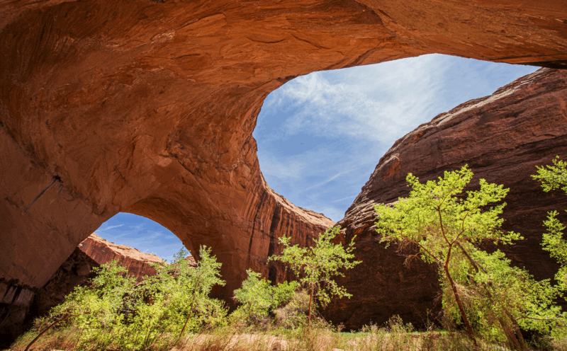 Road Trip! Light in the American West, from Baja to the Yukon