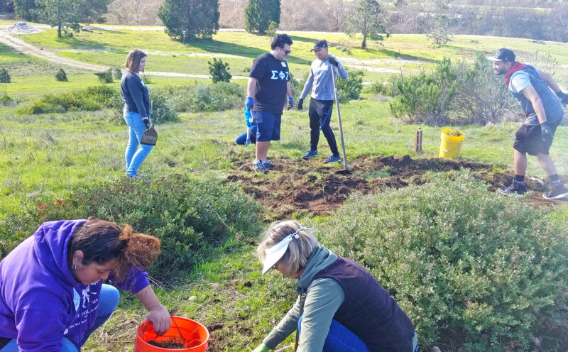 Day of Service at the UCSC Arboretum in honor of Dr. Martin Luther King Jr.