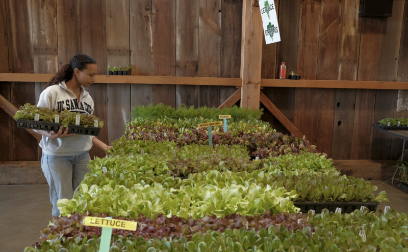 Spring Plant Sale