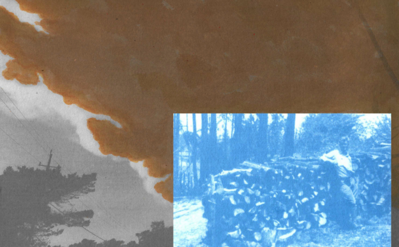 Unexpected Returns: The Historic Entanglements of Fire, Settlement, and Stewardship in the Santa Cruz Mountains