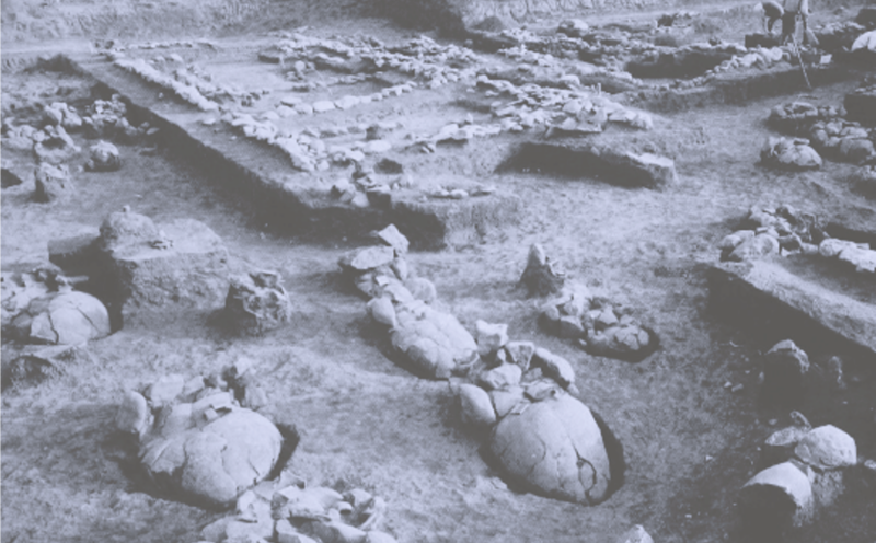 A Mouthful of Archaeology: Oral Health Disparities During the Early Bronze Age in Anatolia