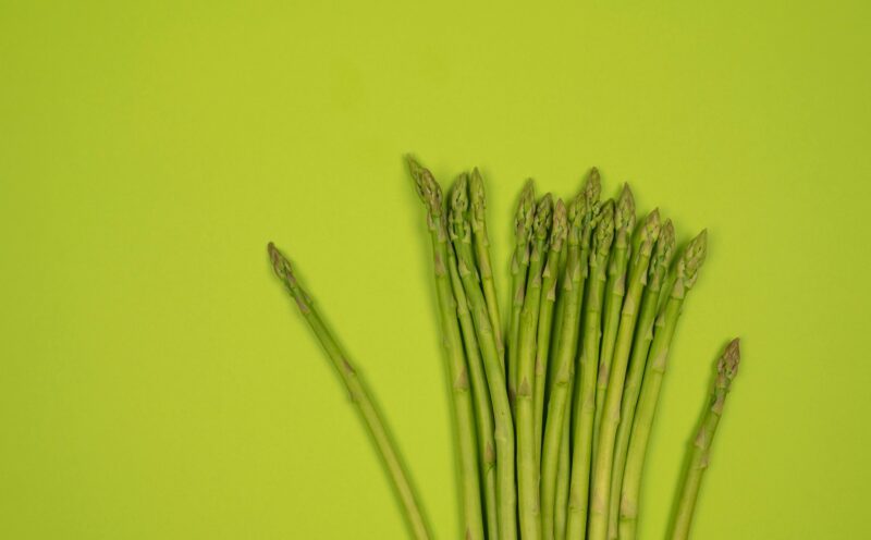 Seminar Series | Living Roots: The Promise of Perennial Foods with Liz Carlisle