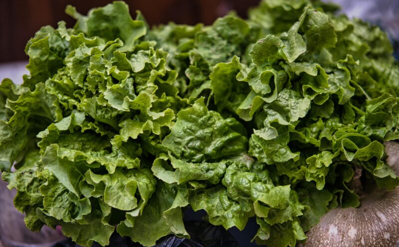 Seminar Series | Is the Farm a Digital Factory?: Labor, Leafy Greens, and the Limits of Automation with Summer Sullivan