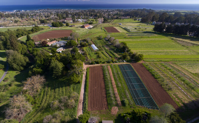 Free Guided Tour of the UCSC Farm