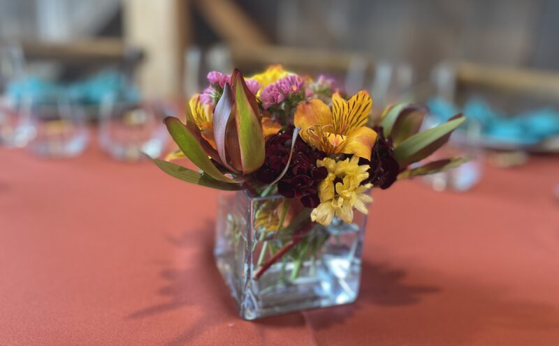 Friends of the UCSC Farm & Garden Member Reception