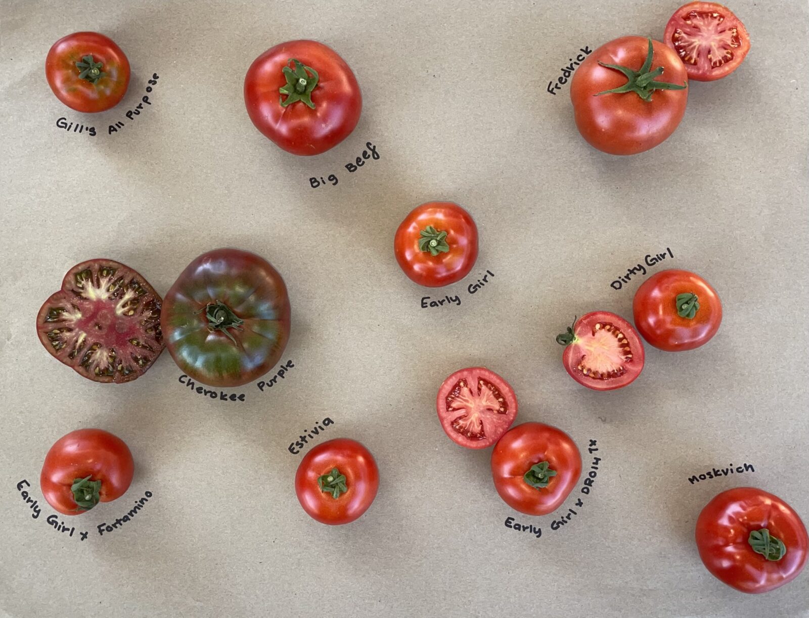 tomatoes