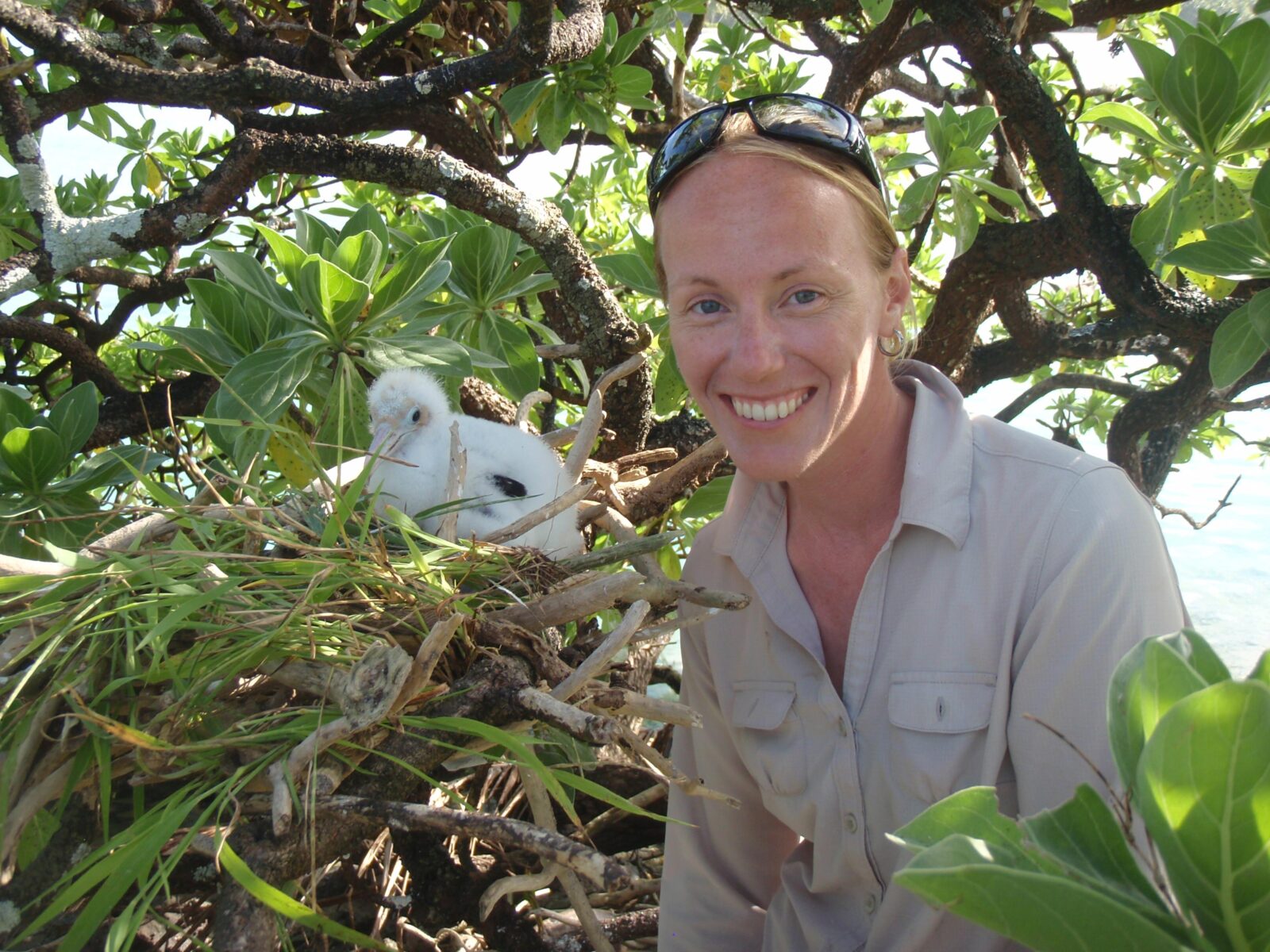 Morgan E. Gilmour in the field