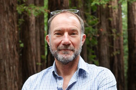White male with glasses on head in redwoods